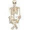 Realistic Posable and Movable Joints Halloween Decoration for Crazy Bonez Skeleton Line